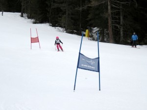 IMG_0137